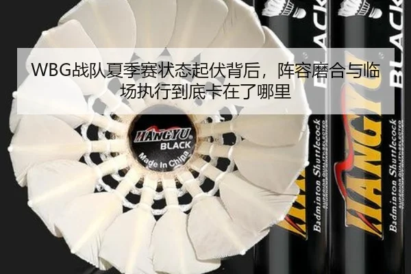 WBG战队夏季赛状态起伏背后，阵容磨合与临场执行到底卡在了哪里 | lansedaohang